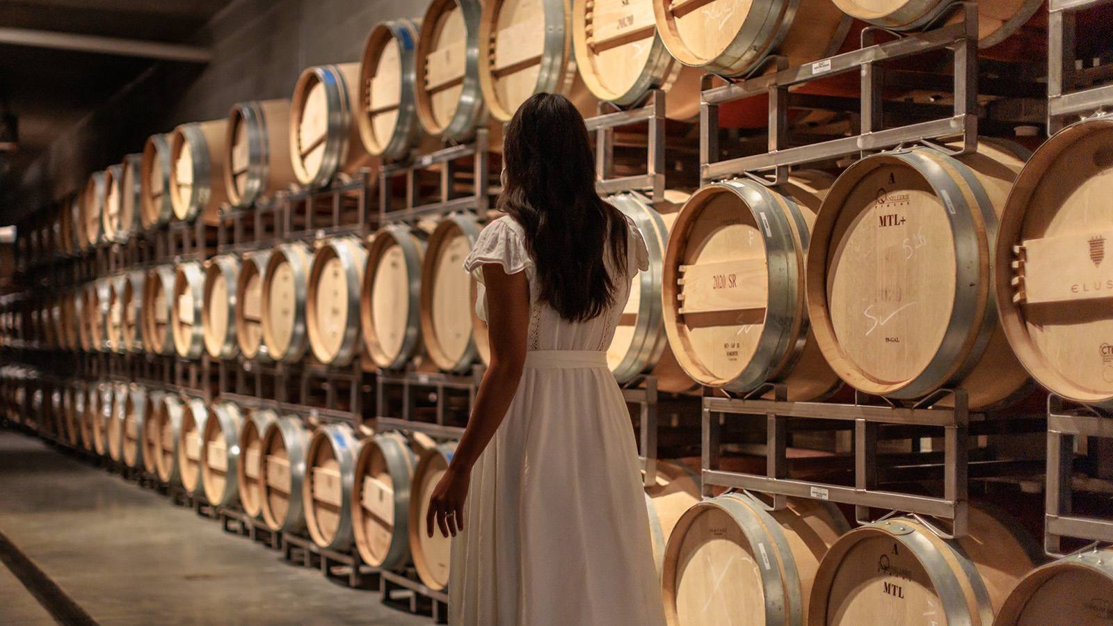 Rows of oak barrels at Elusa Winery, with the Elusa name marked on the barrel heads