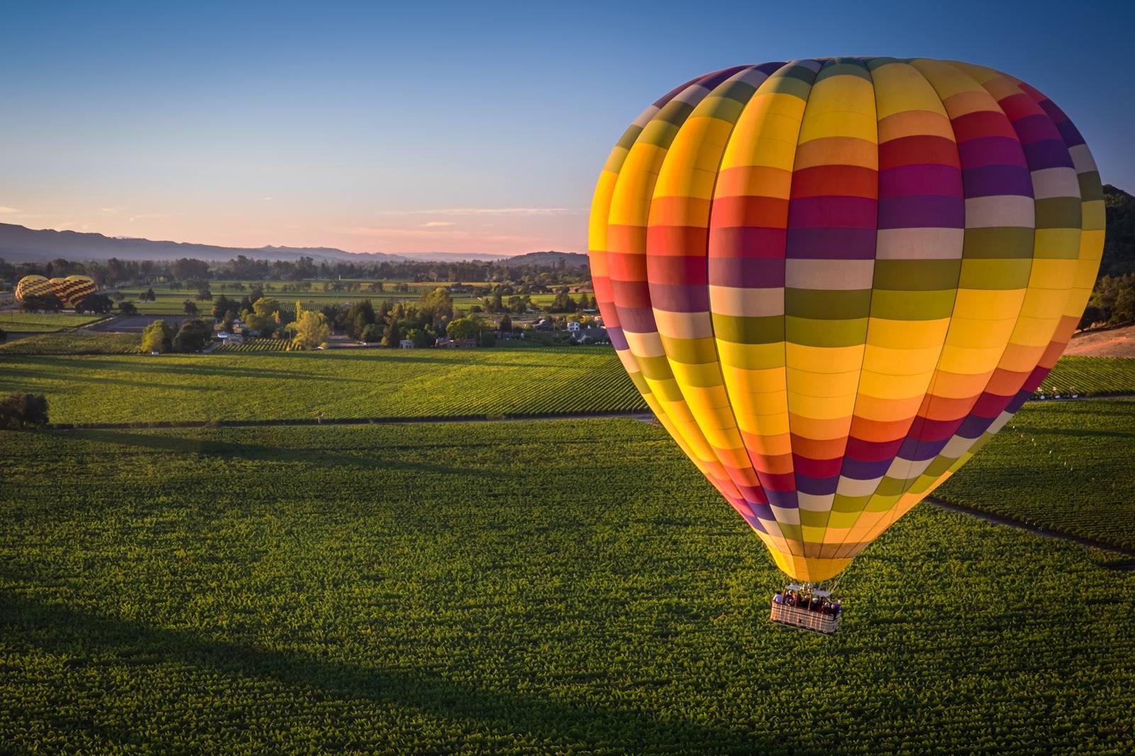 Hot-air balloons rising over Napa Valley at sunrise