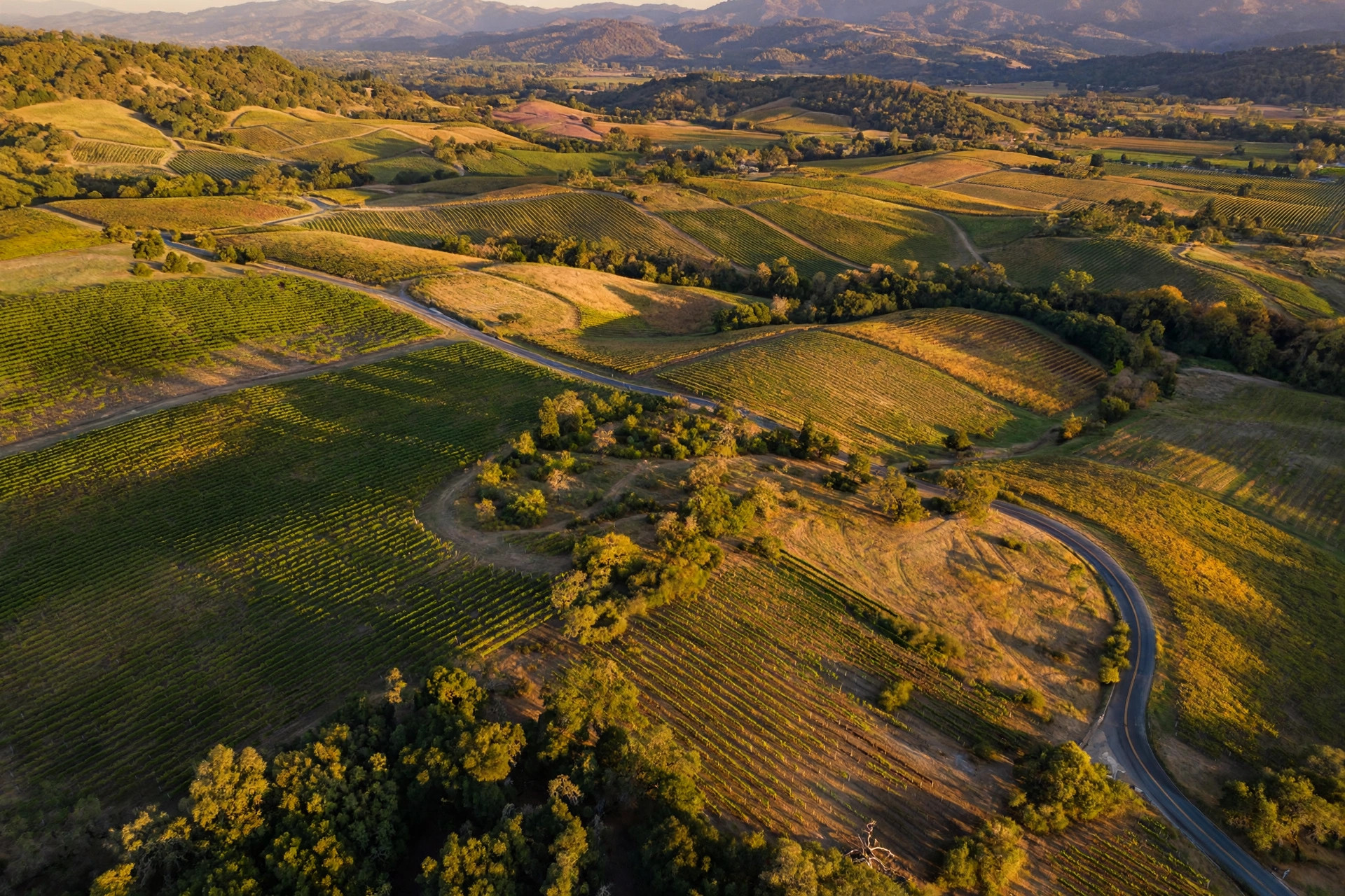 Getting to Napa Valley: Airports, Driving, and Getting Around
