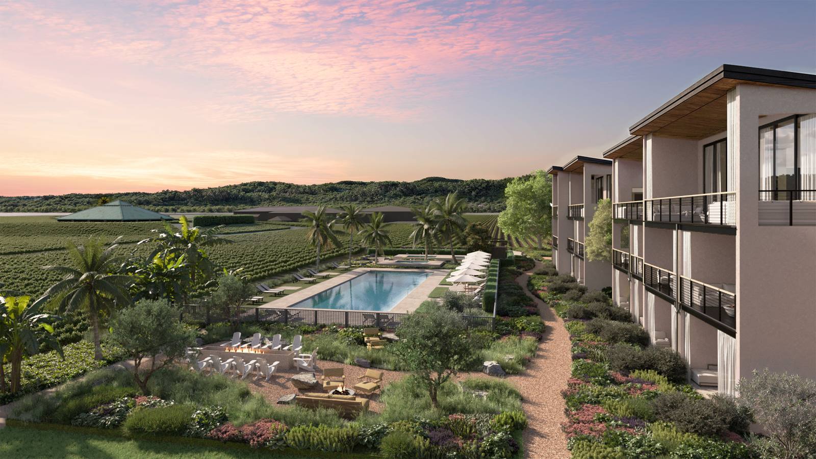 The Elene: Napa's New 50-Room Retreat on the Vine Trail (Opening Late 2026)