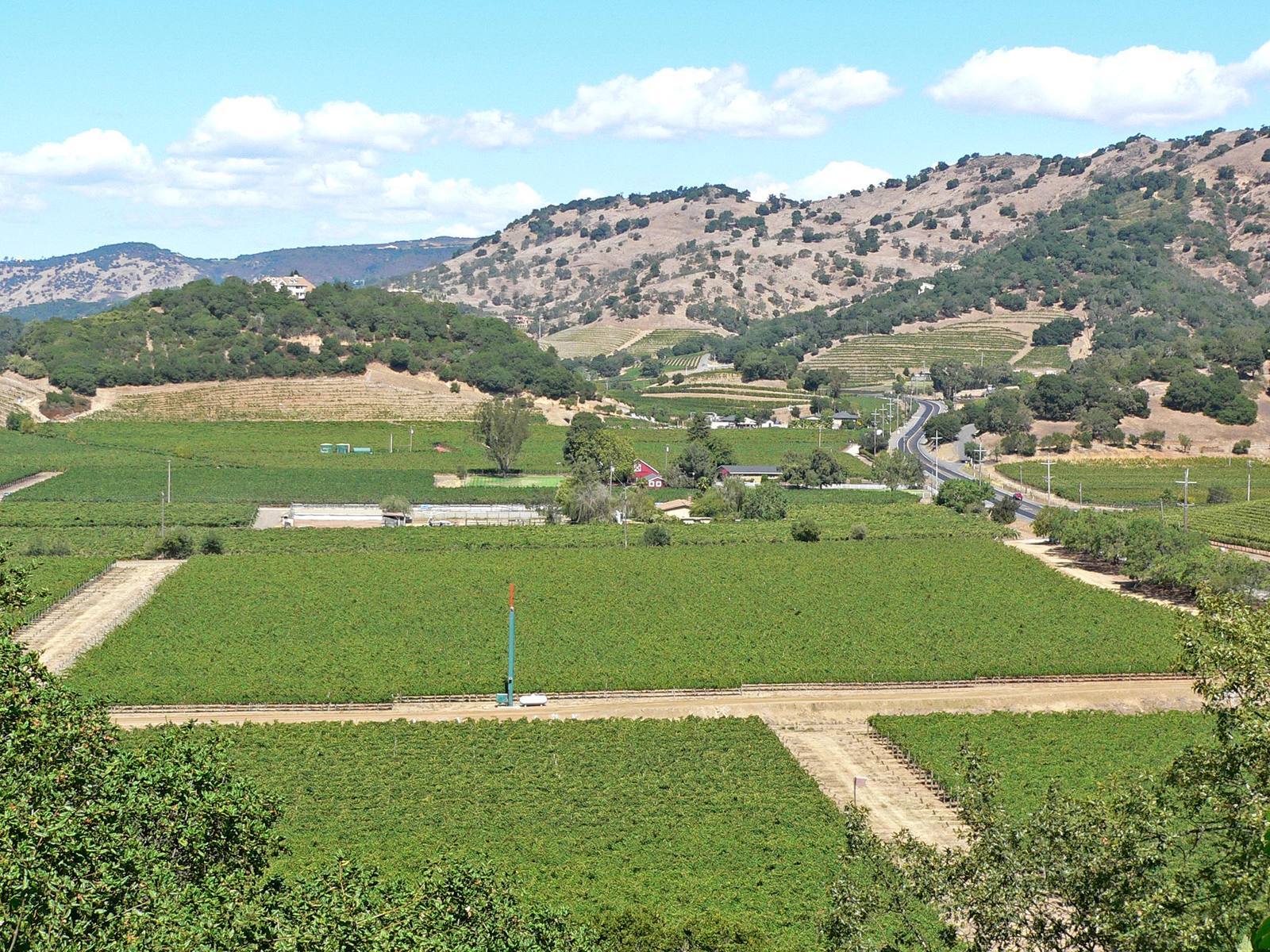 The Silverado Trail running between vineyards in Napa Valley