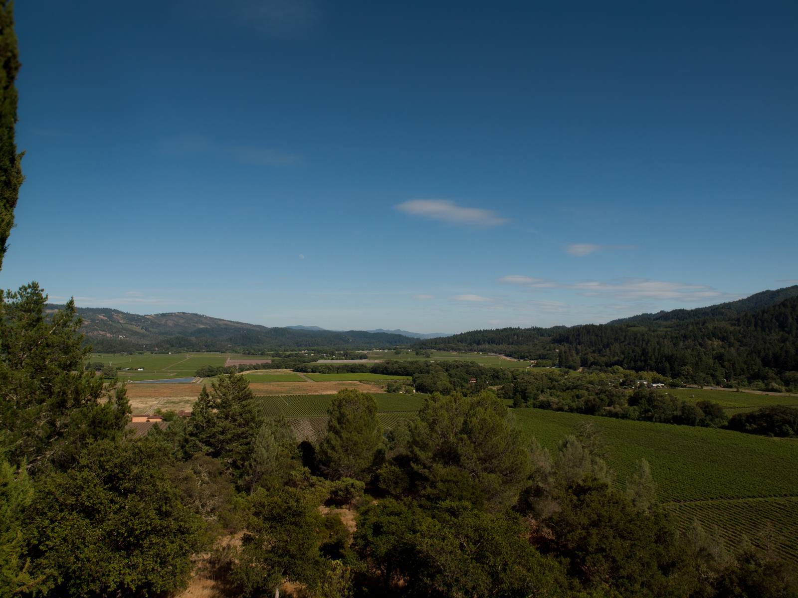 Napa Valley vineyards and hills seen from Sterling Vineyards