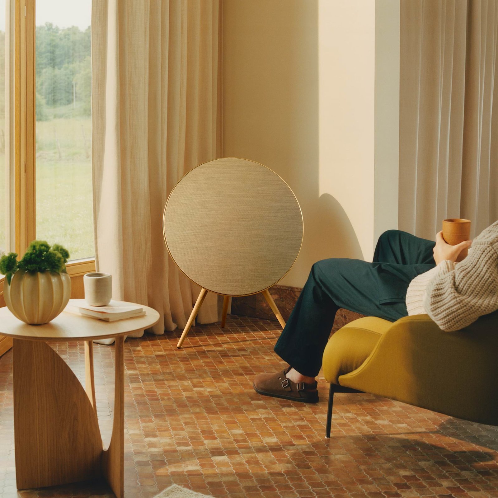 Bang and Olufsen Beosound A9 speaker in a living room