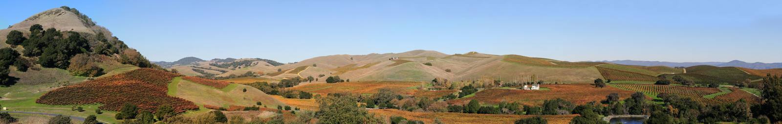 Napa Valley vineyards in autumn color